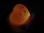 images/v/201207/13420744656_led lamp (8).jpg